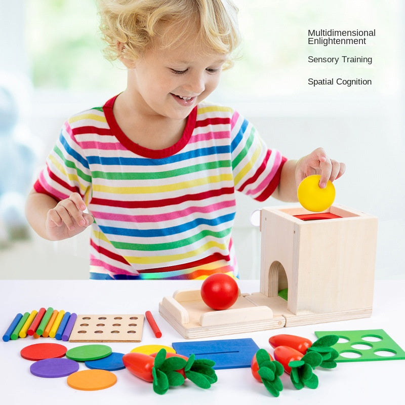 Montessori 4-in-1 Coin Box & Color Matching Toy