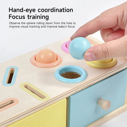 Montessori Wooden Coin Box Toy
