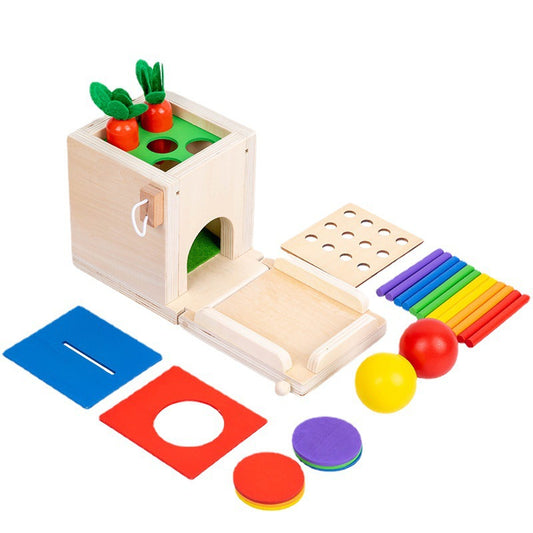 Montessori 4-in-1 Coin Box & Color Matching Toy