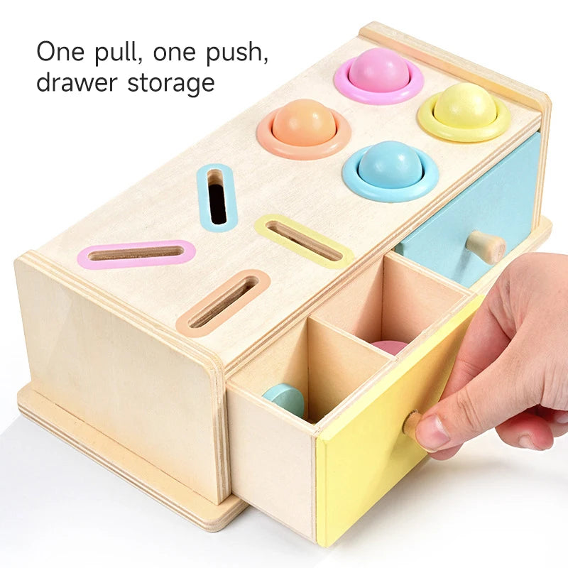 Montessori Wooden Coin Box Toy