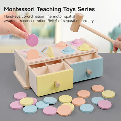 Montessori Wooden Coin Box Toy